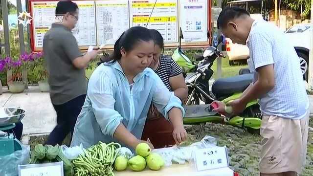 响应消费扶贫:海口脱贫致富“夜校集市”开市