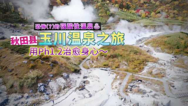 东京印象 强酸性温泉是秘密是? 秋田县秘汤之旅