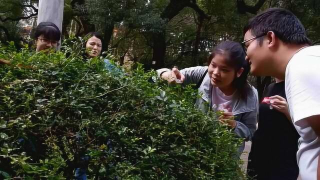 学生花丛中瞪眼抓木虱做解剖,比蚊子还小,学生:要上千只