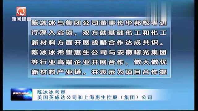 陈冰冰考察美国英威达公司和上海惠生控股集团公司