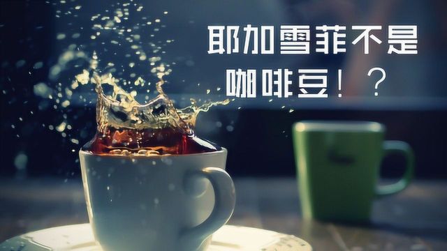 耶加雪菲不是咖啡豆!?