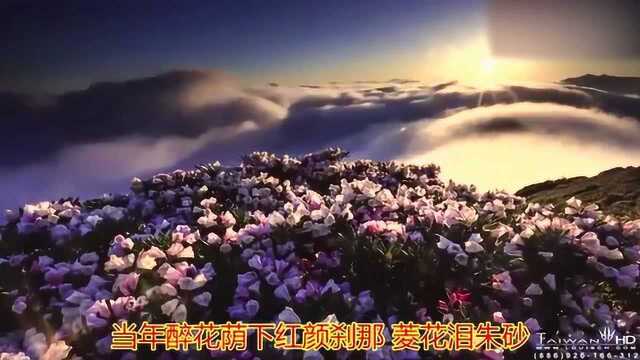 董贞一首伤感歌曲《朱砂泪 》, 静静守望, 你归来的温柔