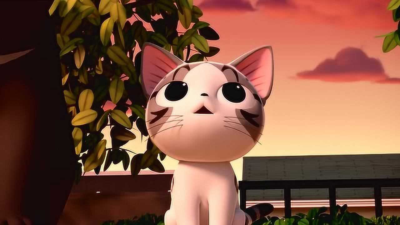 甜甜私房猫小奇生气不回家了吗因为它生杨平的气吗