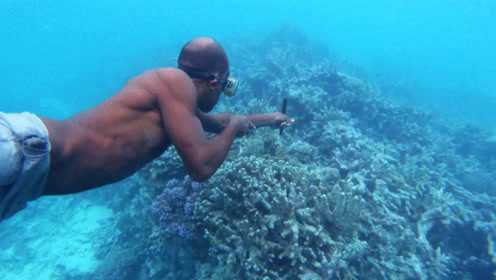 我们的侣行丨探访南太平洋原始部落：捕巨型椰子蟹，用弹弓水下射鱼