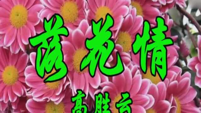 怀旧老歌,高胜云一首《落花情》好听极了