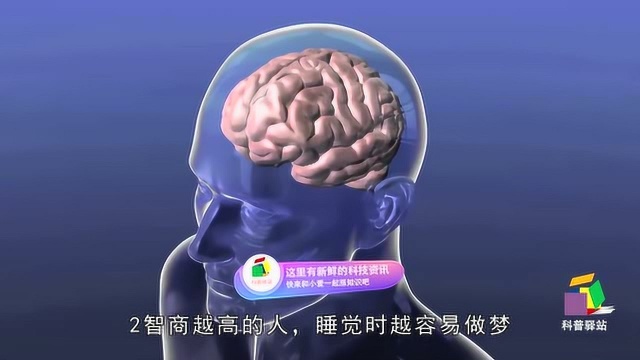 有趣冷知识:人的智商越高越容易做梦,你是高智商的人吗