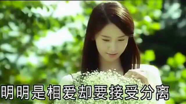 一曲《迟到的缘分,错误的相遇》,有同感的赶紧听!好听