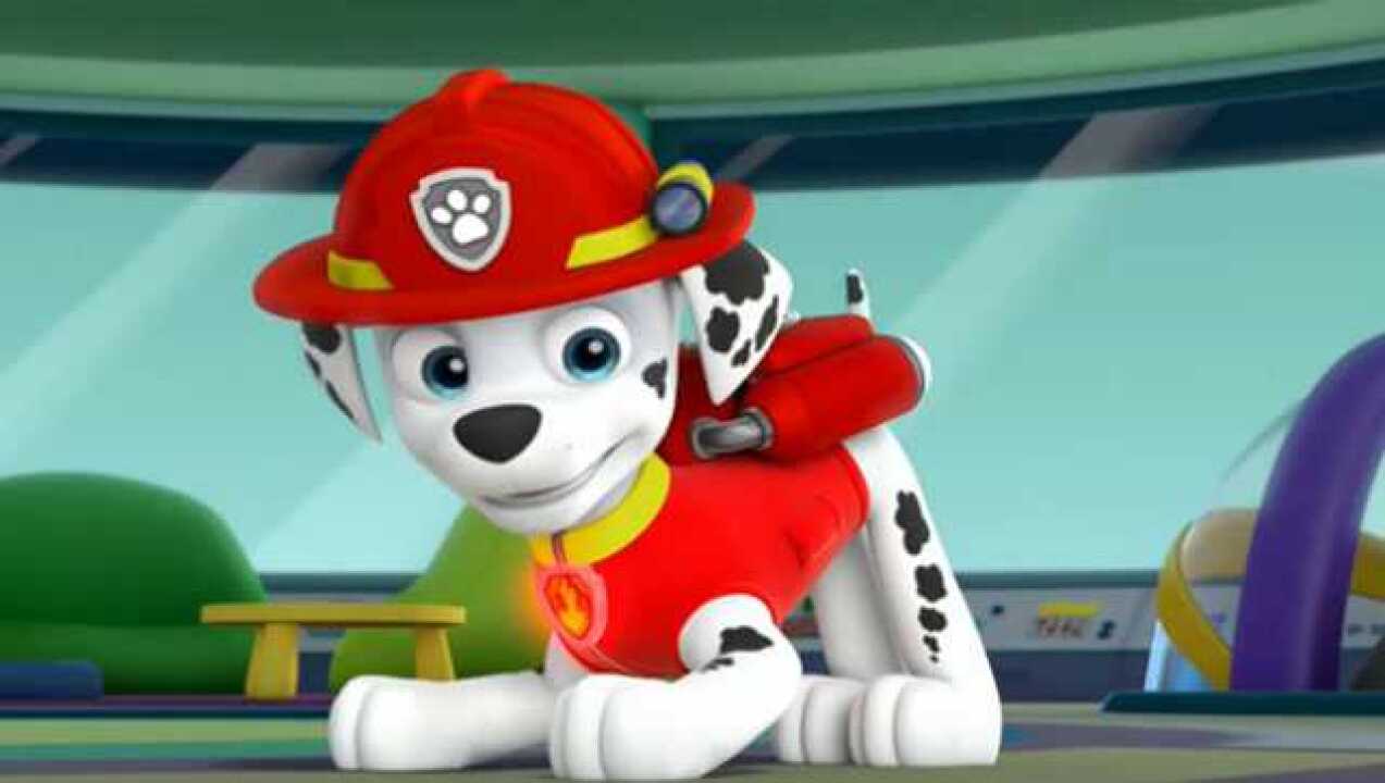 狗狗巡逻队毛毛喜欢趴在地上 汪汪队立大功