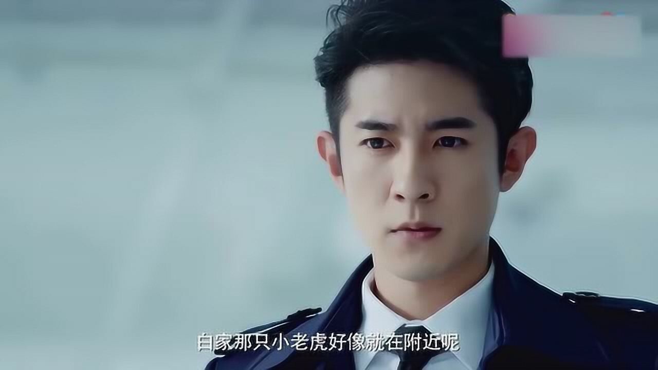 sci谜案集:赵爵调侃白家小老虎在附近,展耀讲自己什么都告诉他