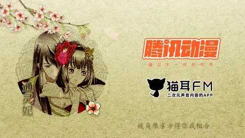 通灵妃有声漫画 19集