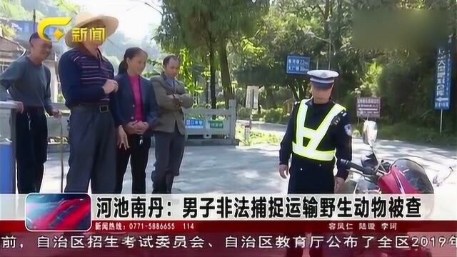 河池南丹:男子非法捕捉运输野生动物,被交警火眼金睛查获