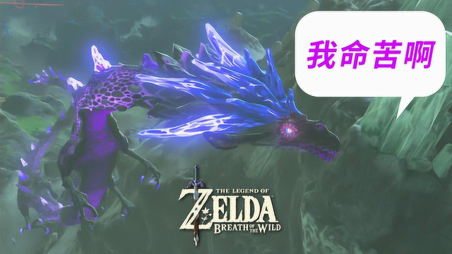 塞尔达传说旷野之息125冰龙我的命好苦啊小宝趣玩
