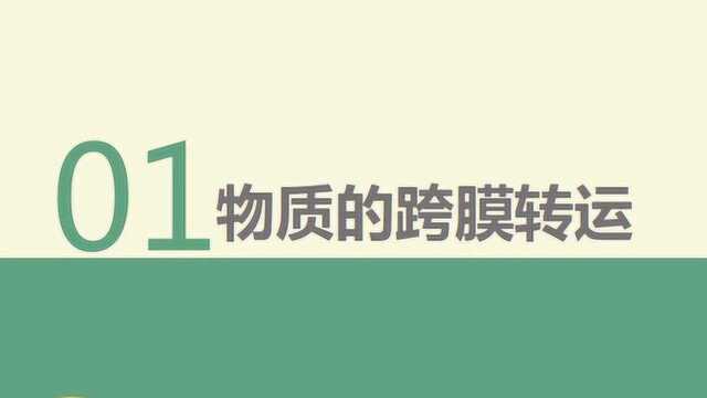 2019年药学初级职称考试:生理学细胞的基本功能