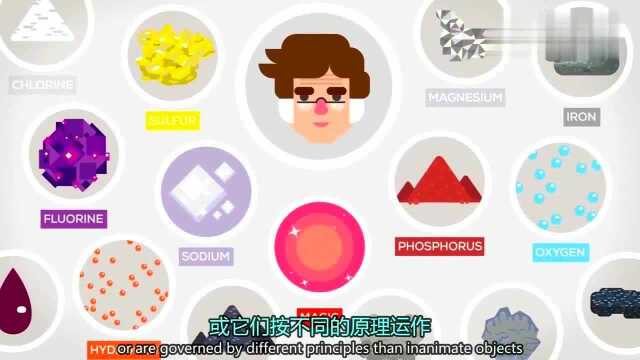 冷知识:生命到底是什么?由细胞组成的个体才叫生命吗