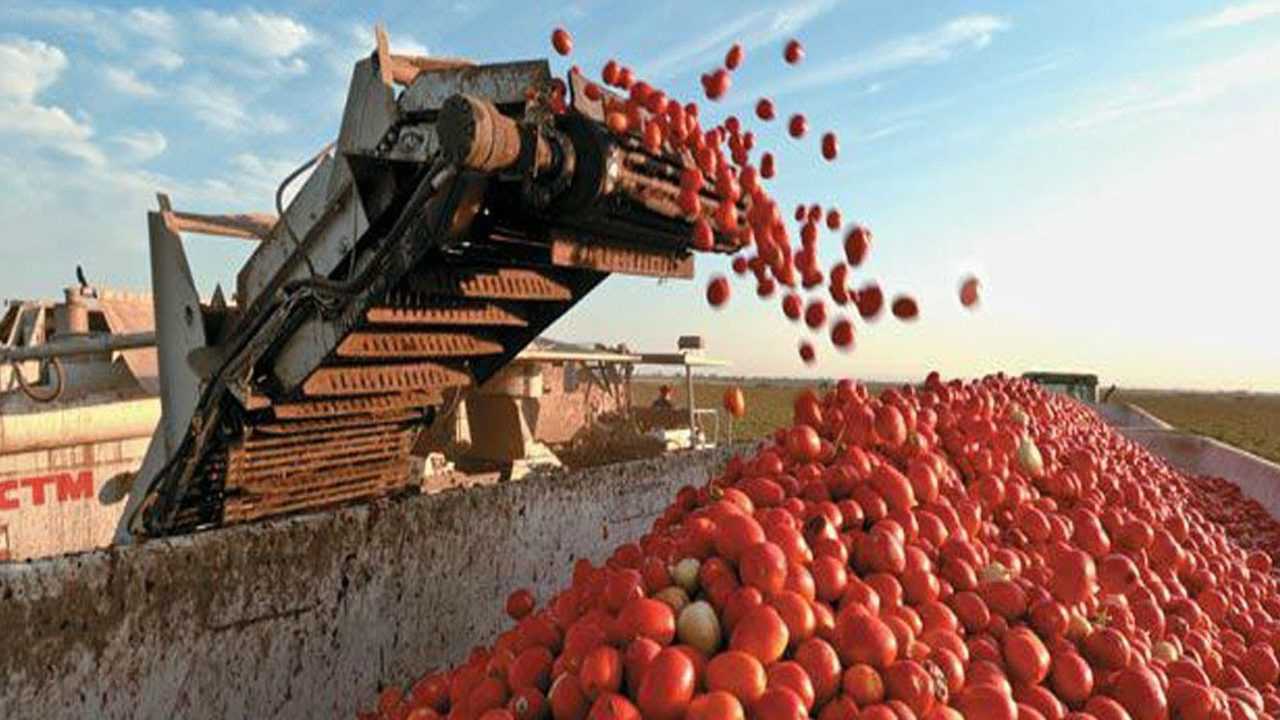 美国制造的苹果收割机器一小时收割20亩国内有这效率吗