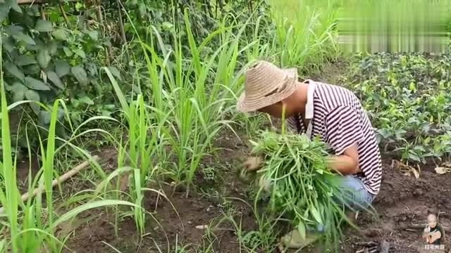 孙红兵负伤了,小北京一路给唱歌,在医院都得拿枪给红兵护着安全