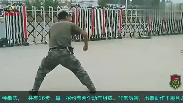 实拍:当过兵的门卫大叔演示捕俘拳,动作连贯气势高昂!