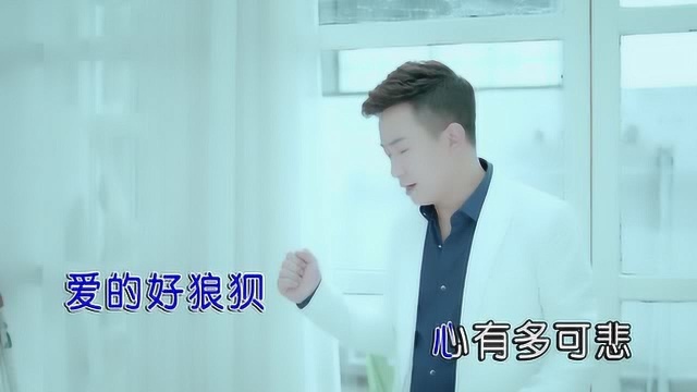 丁童歌曲《爱已成了灰》红日蓝月KTV推介