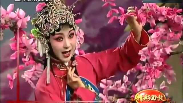 任小蕾这段表演太美了!碗碗腔《金琬钗 借水》三月桃花