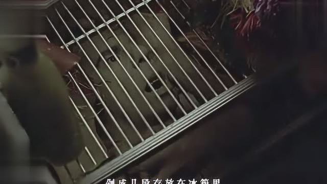 女人被恶魔附身后,做出让人意想不到的事情!电影《着魔》