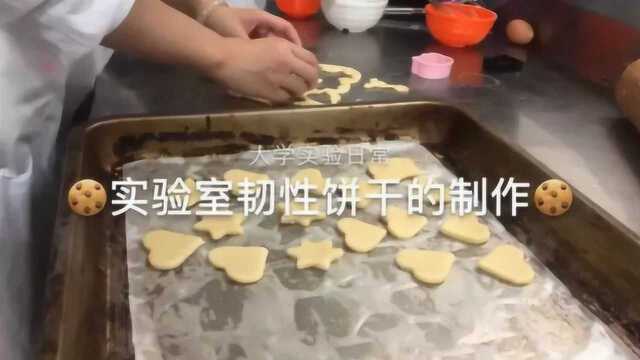 美食记:实验室韧性饼干的制作,简单又美味!