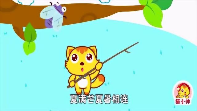 猫小帅儿歌之二十四节气歌:春雨惊春清谷天,夏满芒夏暑相连