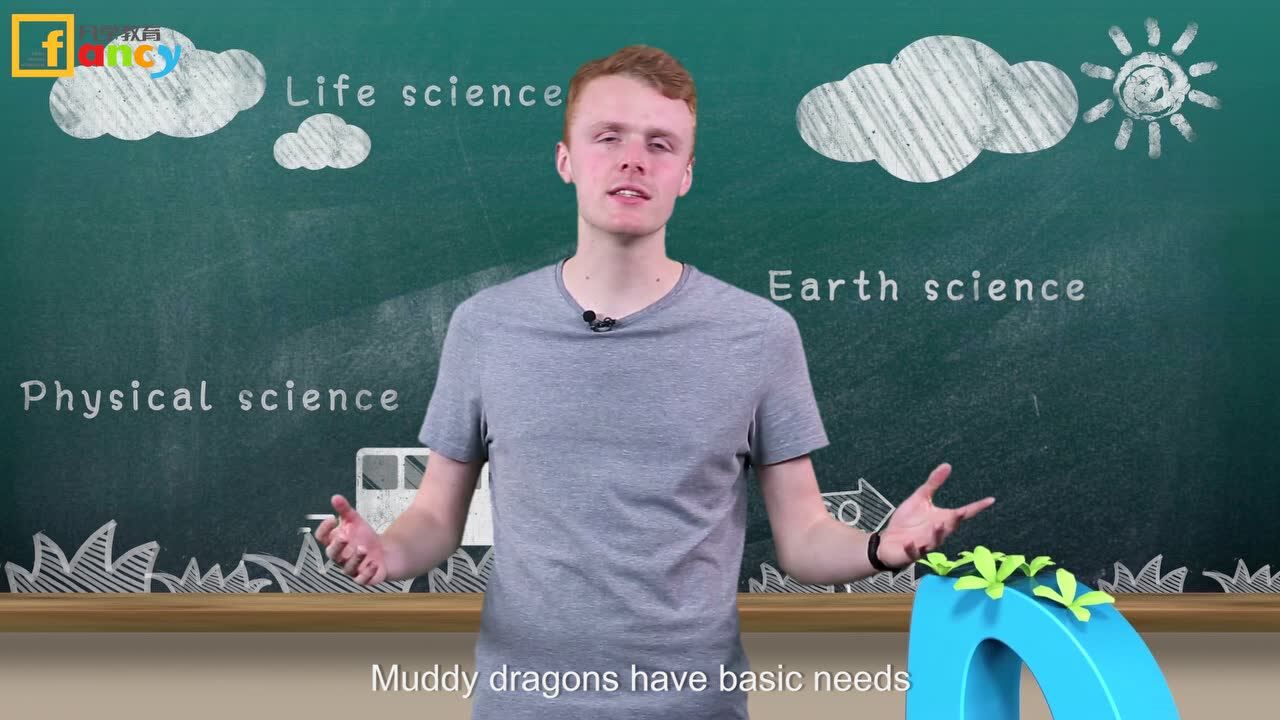 the muddy dragon