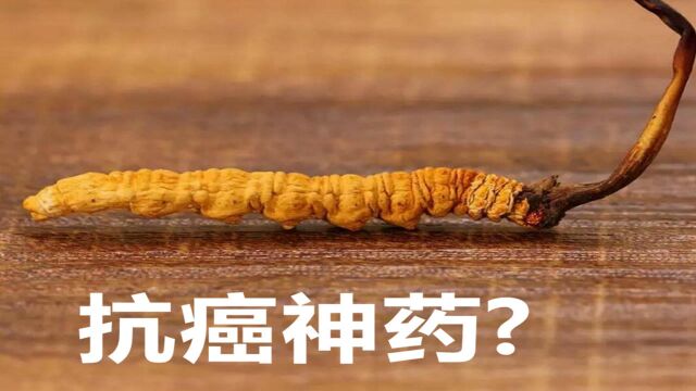 之前非常昂贵的冬虫夏草,为什么现在无人问津?专家:都是骗局!