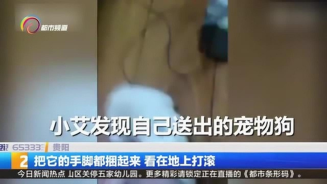 男子虐狗,前任狗主人十分愤怒,把男子质问得骑车逃离!