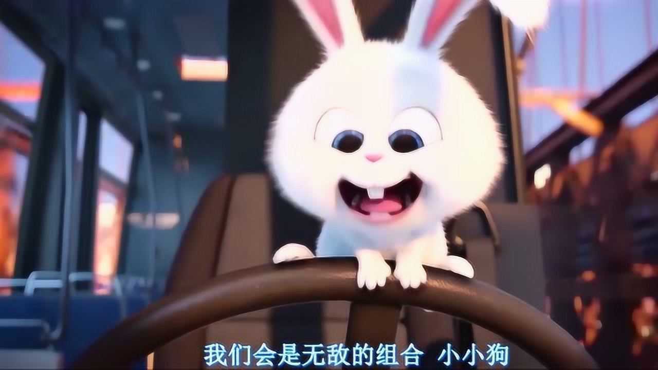 爱宠大机密:小兔子的开车技术真是杠杠的