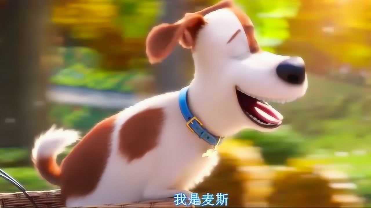 爱宠大机密麦克和主人的相遇也是那么的美好