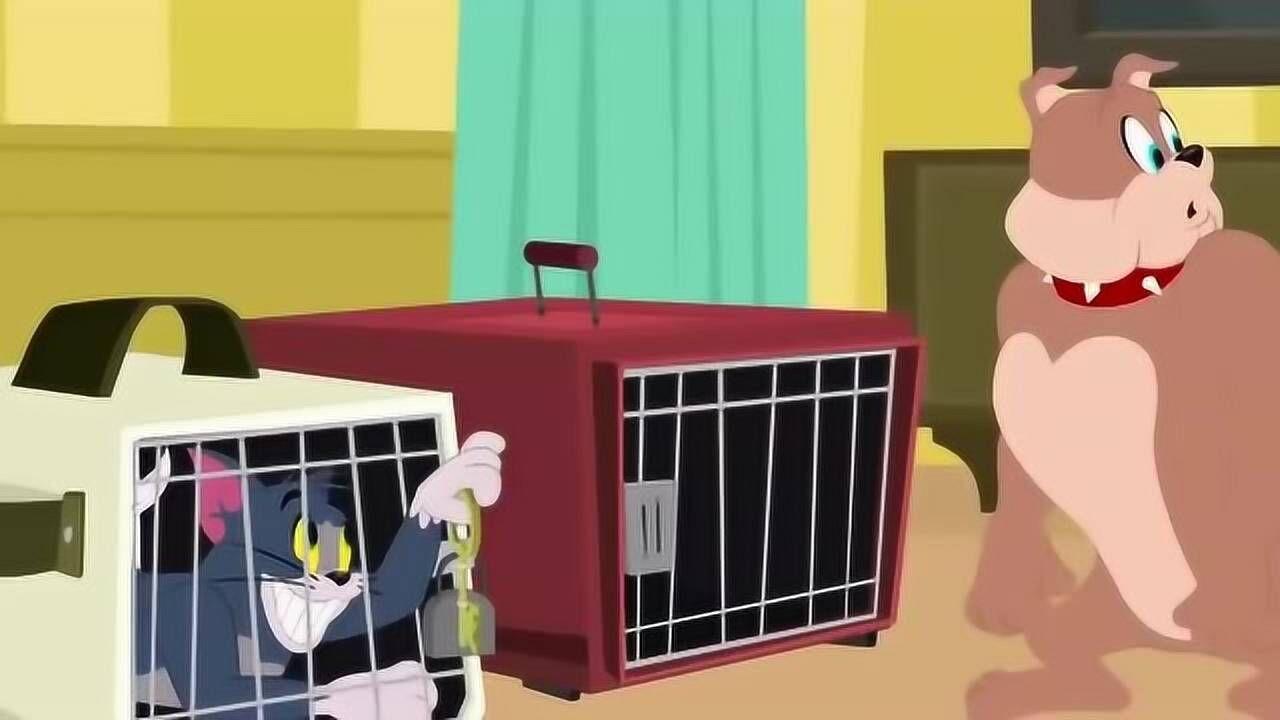 猫和老鼠:大狗居然把tom所在自己的"狗窝"里,太搞笑了