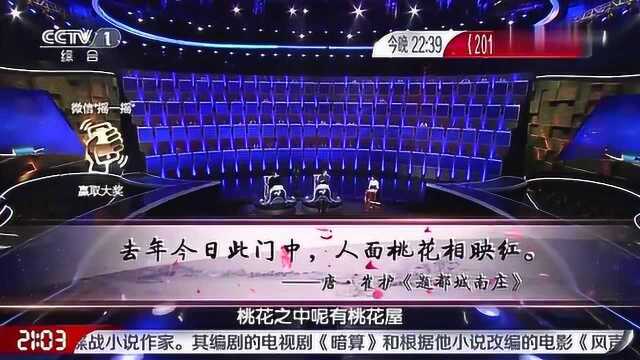 中国诗词大会,去年今日此门中