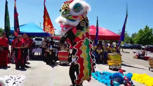 中华民族传统文化,精彩舞狮表演,场面喧闹,年味十足