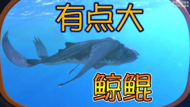 美丽水世界零度之下:发现新生物巨鲸鲲!这只巨兽有点大 深海迷航