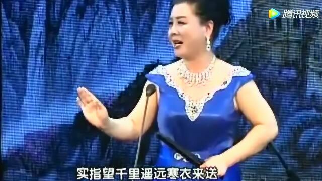 河南坠子《孟姜女哭长城》王雪玲