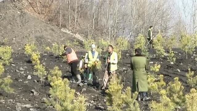 实施山水林田湖草生态修复 推进生态白山建设