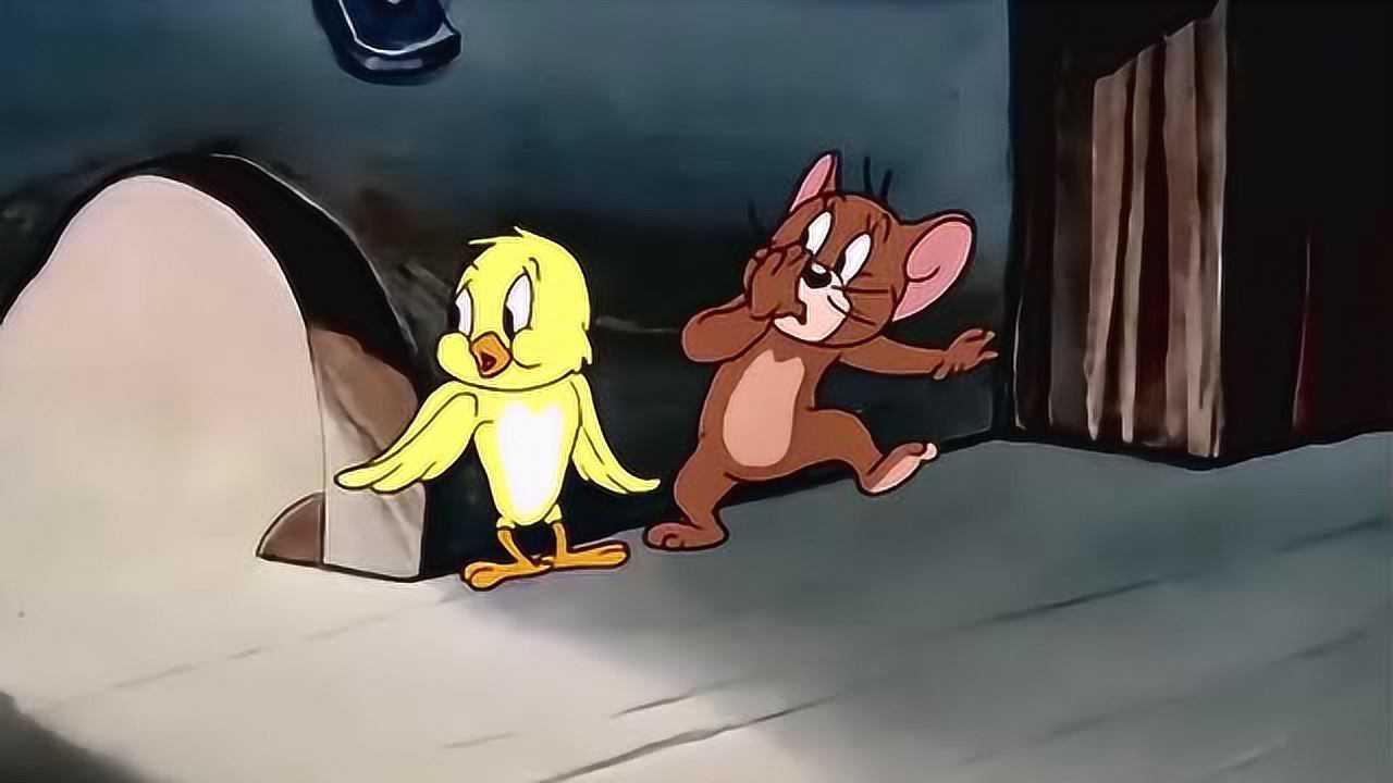 猫和老鼠2:杰瑞跟小鸟合作最终躲过的汤姆的追击