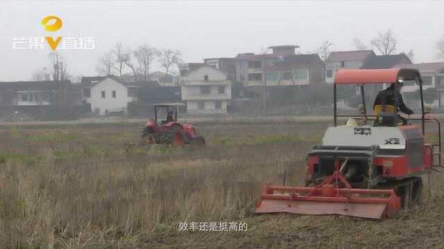 “家庭农场+合作社”两手抓,邵阳发展产业振兴乡村