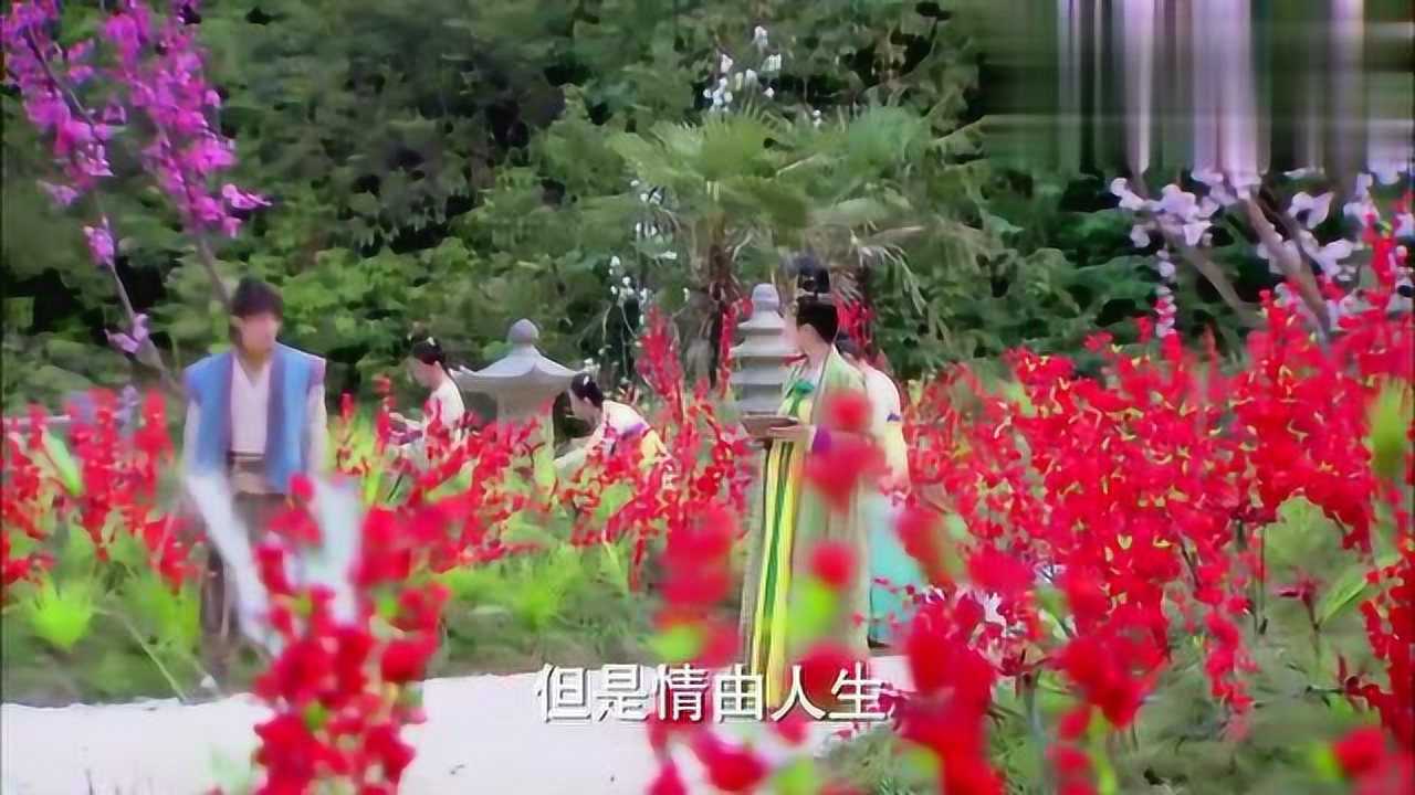 杨过绝情谷乱转巧遇公孙绿萼,不小心却中了情花之毒!_高清1080P在线观看平台_腾讯视频