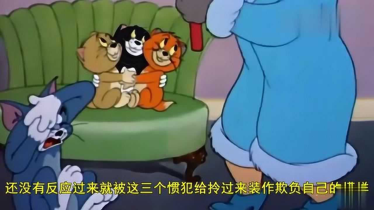 猫和老鼠细思极恐的片段三只小猫被活活淹死