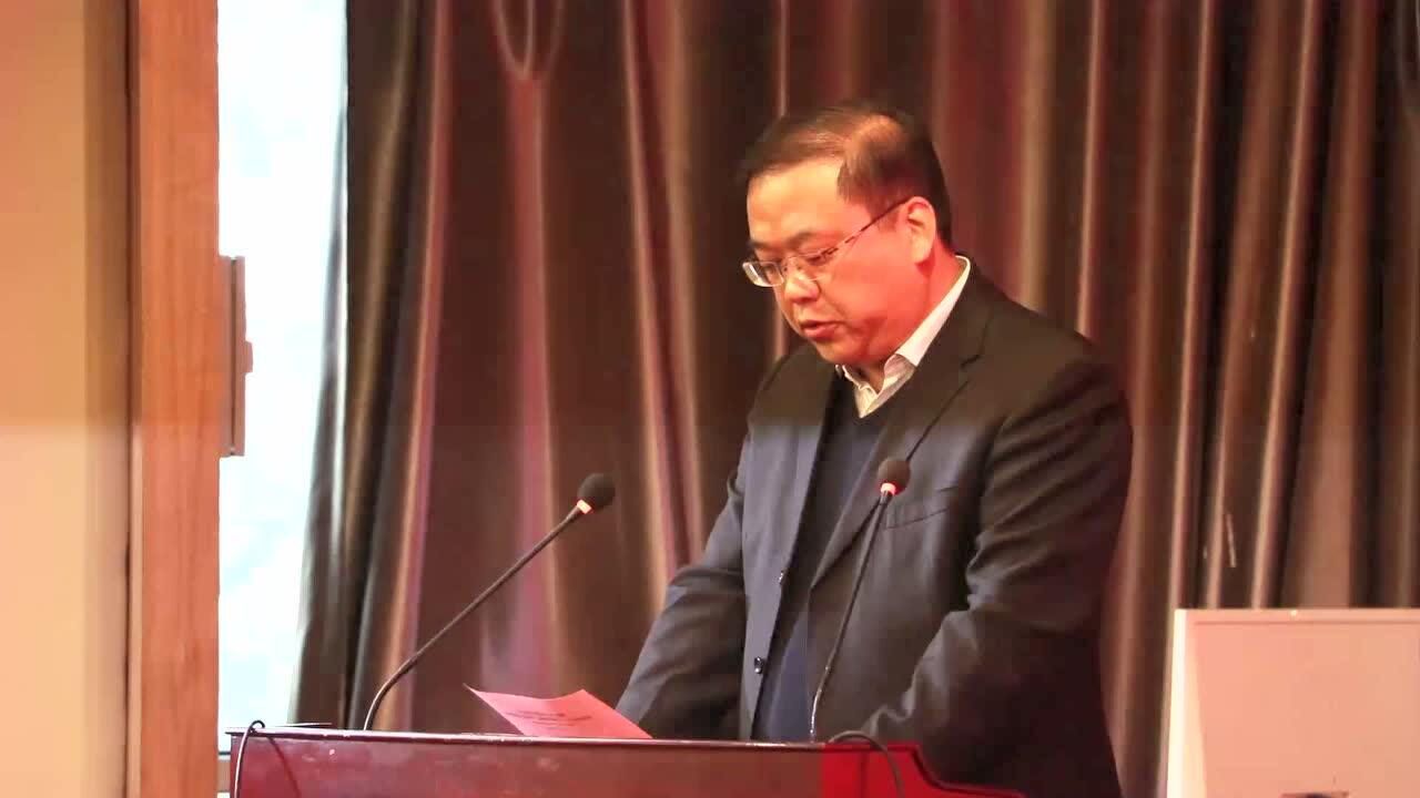 纪念司母戊鼎出土80周年殷都区雷鸣区长讲话