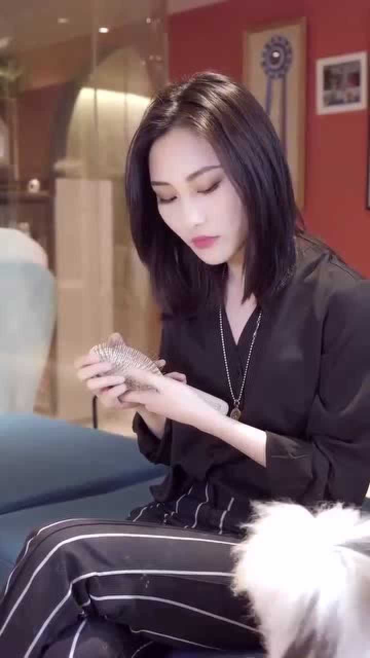 比鲁斯雯狗狗不是我们感情的陪衬物它的感情也需要被人珍惜