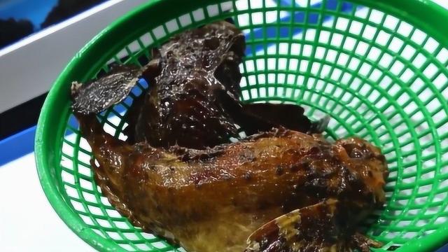 剧毒石崇鱼,看看大厨是怎样处理的,做好的鱼肉称为精品也不过分!
