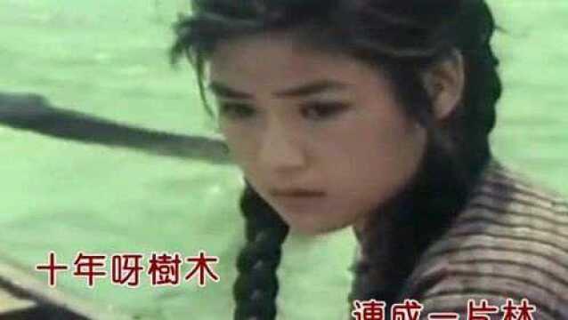 李殊的影视歌曲《一方水土养一方人》