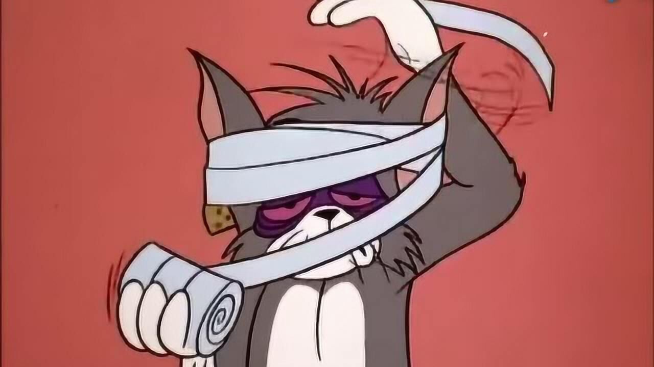 《猫和老鼠》汤姆怎么变成了傻猫!她的头怎么这么多绷带