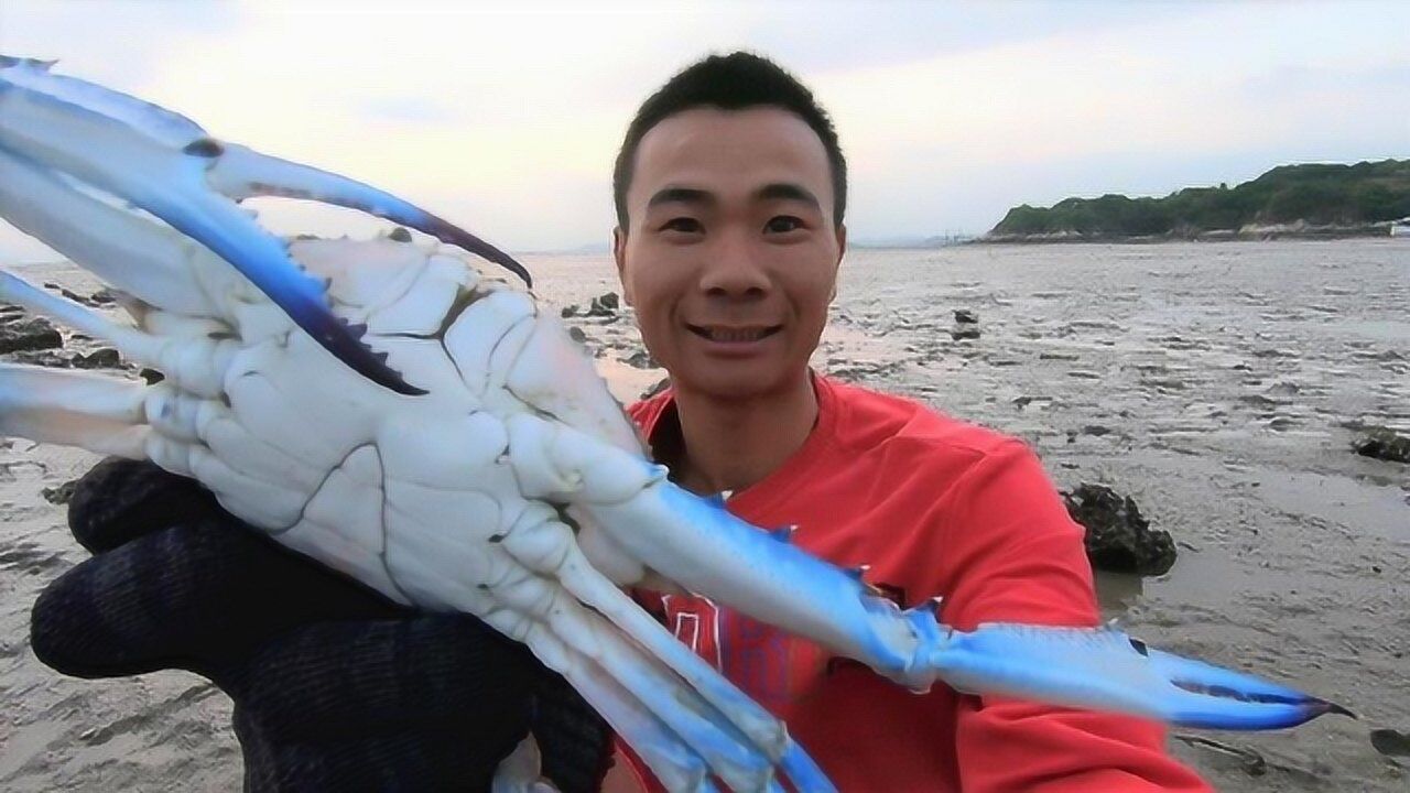 渔人阿烽:阿烽下岛赶海,天公不作美,却意外捞到超大只花蟹!