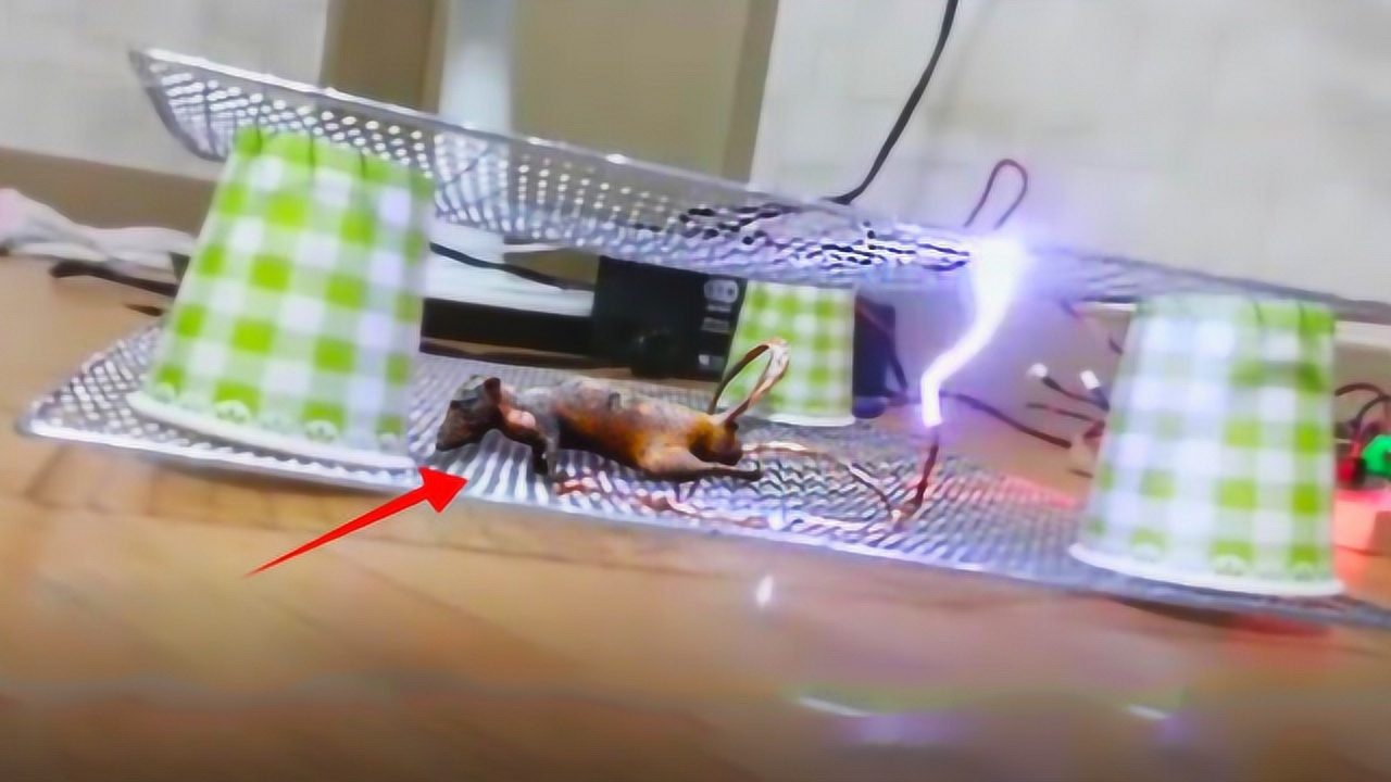 太残忍老外制作高压电网捕鼠器12万伏电压让老鼠瞬间毙命