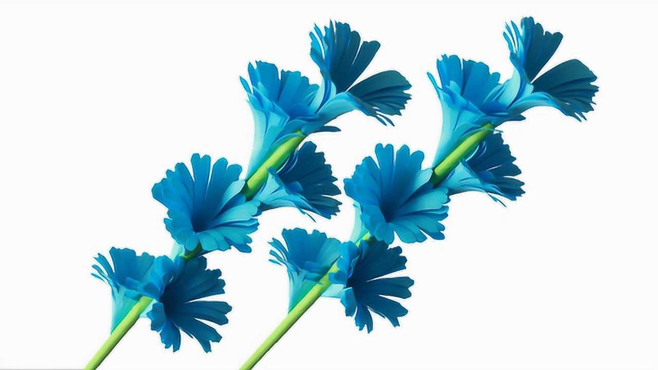 教你如何制作漂亮的纸棍花手工制作纸花