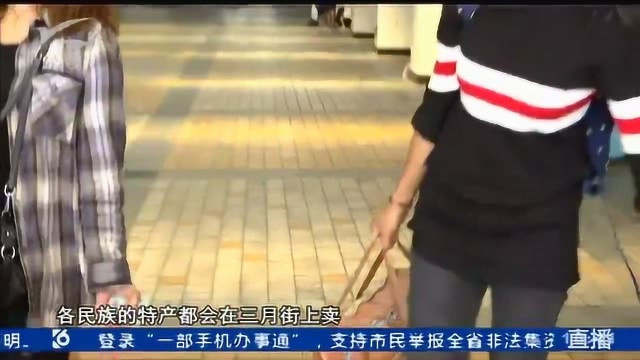 昆明至大理 5对动车重联运行 助力游客逛“三月街”